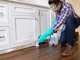 Best Pest Control for Multi-Family Homes  in Elsmere, DE